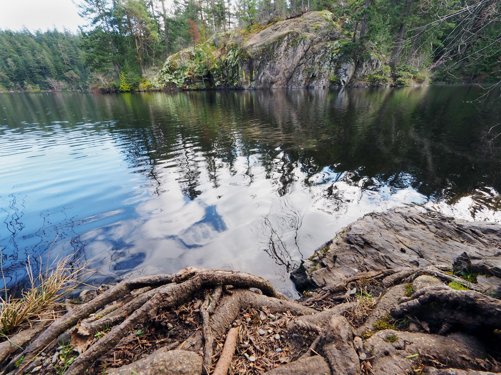 Anacortes Community Forest Lands Whistle Lake — Washington Trails